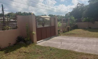 HOUSE AND LOT FOR SALE IN SAN JOSE NEGROS ORIENTAL ID 14886