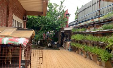 HOUSE AND LOT FOR SALE IN DUMAGUETE CITY ID 14858