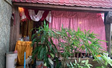 HOUSE AND LOT FOR SALE IN DUMAGUETE CITY ID 14858