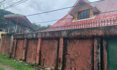 HOUSE AND LOT FOR SALE IN DUMAGUETE CITY ID 14858