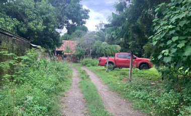 HOUSE AND LOT FOR SALE IN DUMAGUETE CITY ID 14858
