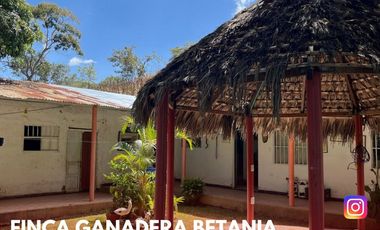 SE VENDE ESPECTACULAR FINCA GANADERA EN BETANIA (PALERMO - HUI - COL)