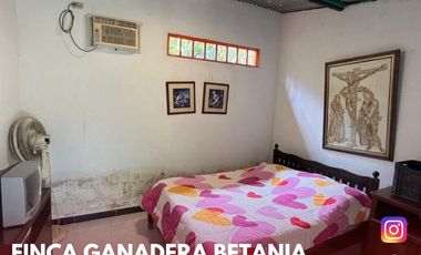 SE VENDE ESPECTACULAR FINCA GANADERA EN BETANIA (PALERMO - HUI - COL)