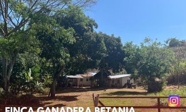 SE VENDE ESPECTACULAR FINCA GANADERA EN BETANIA (PALERMO - HUI - COL)