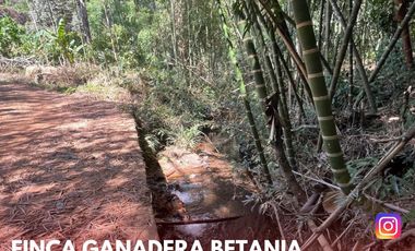 SE VENDE ESPECTACULAR FINCA GANADERA EN BETANIA (PALERMO - HUI - COL)