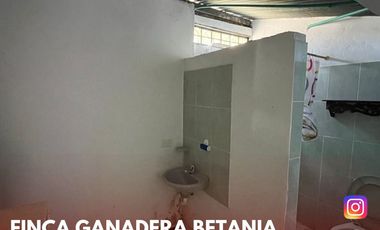 SE VENDE ESPECTACULAR FINCA GANADERA EN BETANIA (PALERMO - HUI - COL)