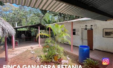 SE VENDE ESPECTACULAR FINCA GANADERA EN BETANIA (PALERMO - HUI - COL)