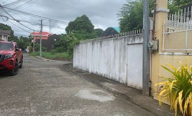 HOUSE AND LOT FOR SALE IN A SUBDIVISION ID 14847