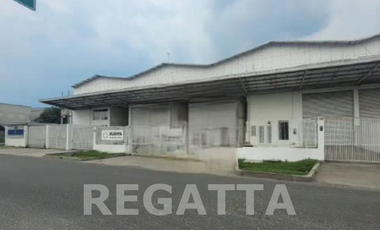 For Rent: Spacious Warehouse with Loading Dock in Delta Silicon 2 – Ready to Use