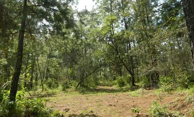Tapalpa Terreno Exclusivo Fraccionamiento Rancho San Francisco