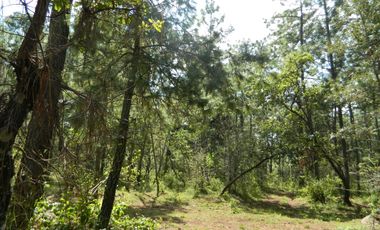 Tapalpa Terreno Exclusivo Fraccionamiento Rancho San Francisco
