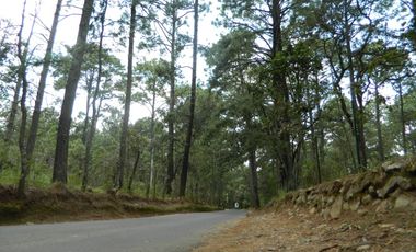 Tapalpa Terreno Exclusivo Fraccionamiento Rancho San Francisco