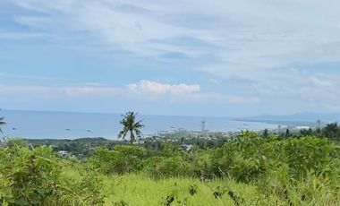 LOT - San Fernando Cebu