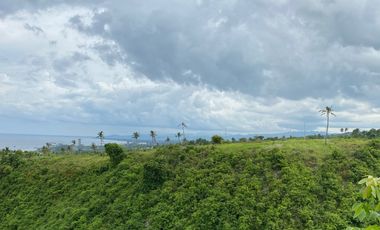 LOT - San Fernando Cebu