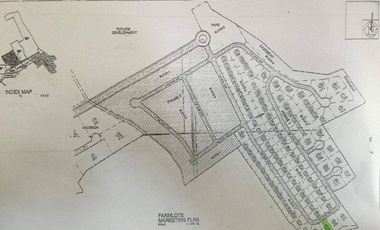 Residential Farm Lot For Sale in Hacienda Sta. Monica Lipa Batangas