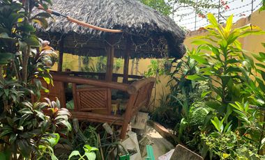 HOUSE AND LOT FOR SALE IN A SUBDIVISION ID 14809