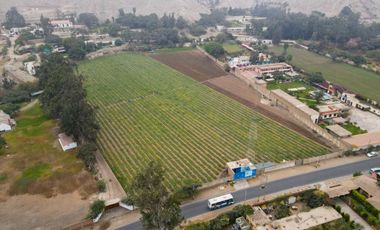 🏡 ¡GRAN REBAJA Y EXCELENTE OPORTUNIDAD DE INVERSIÓN EN CIENEGUILLA! 🌿
