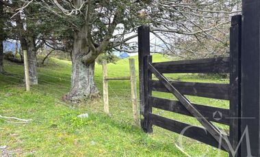 Hermoso terreno en sector Ilihue , Lago Ranco