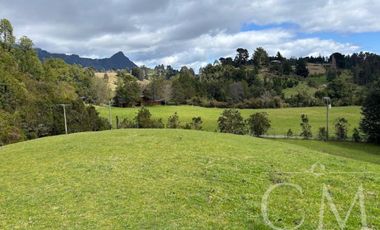 Hermoso terreno en sector Ilihue , Lago Ranco