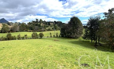 Hermoso terreno en sector Ilihue , Lago Ranco