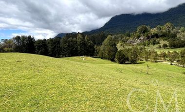 Hermoso terreno en sector Ilihue , Lago Ranco