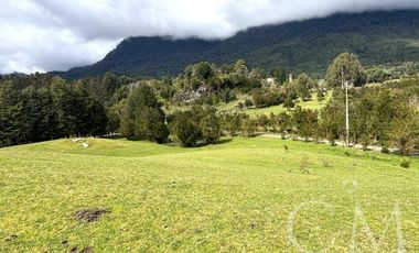 Hermoso terreno en sector Ilihue , Lago Ranco