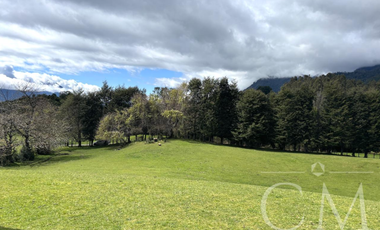 Hermoso terreno en sector Ilihue , Lago Ranco