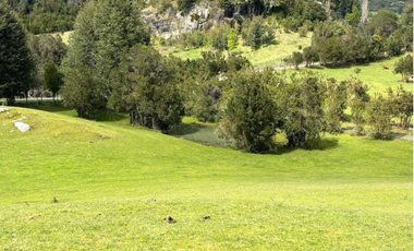 Hermoso terreno en sector Ilihue , Lago Ranco