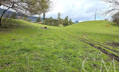 Hermoso terreno en sector Ilihue , Lago Ranco