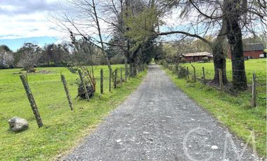 Hermoso terreno en sector Ilihue , Lago Ranco