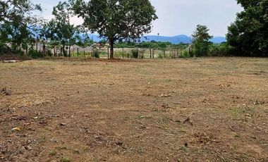 ¡OPORTUNIDAD! TERRENO 4118 m²  EN VENTA, TARAPOTO