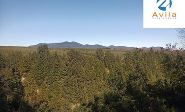 Villarrica Loncotraro alto Condominio Piedra negra a 12 km del centro COD.VTAP064