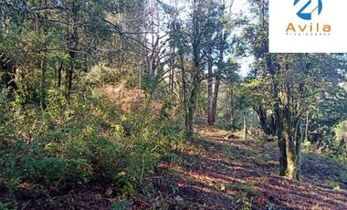 Villarrica Loncotraro alto Condominio Piedra negra a 12 km del centro COD.VTAP064