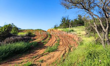 Leon propiedades vende hermosas parcelas de 5000 m2, en Altos de Maquehua, Curacaví.