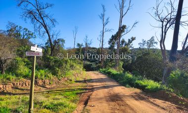 Leon propiedades vende hermosas parcelas de 5000 m2, en Altos de Maquehua, Curacaví.