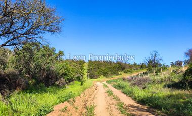 Leon propiedades vende hermosas parcelas de 5000 m2, en Altos de Maquehua, Curacaví.