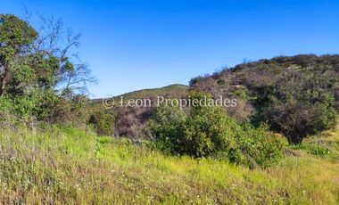 Leon propiedades vende hermosas parcelas de 5000 m2, en Altos de Maquehua, Curacaví.