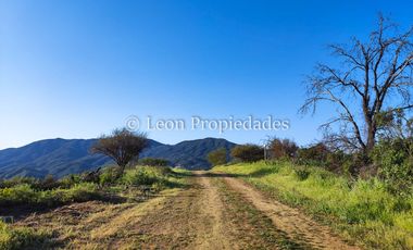 Leon propiedades vende hermosas parcelas de 5000 m2, en Altos de Maquehua, Curacaví.