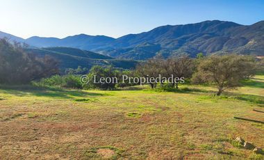 Leon propiedades vende hermosas parcelas de 5000 m2, en Altos de Maquehua, Curacaví.
