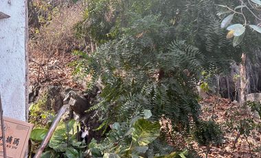 Se vende casa con terreno para oficina