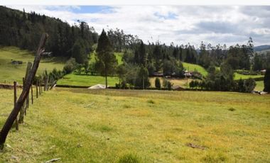 AMPLIO TERRENO EN VENTA, SECTOR TARQUI