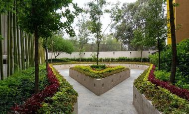 MOZAIKO LINDAVISTA RENTA PENT HOUSE AMUEBLADO CON ROFF PRIVADO