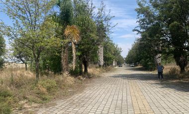 Venta de Lote de 140 m² en Residencial Toscana, en Juan C. Bonilla, una de las zonas de mayor crecimiento dentro de Cholula.