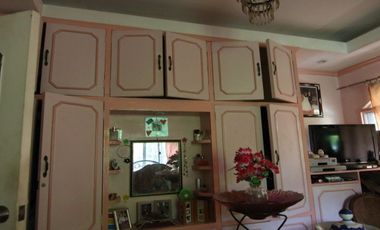 HOUSE AND LOT FOR SALE NEAR DUMAGUETE ID 14724
