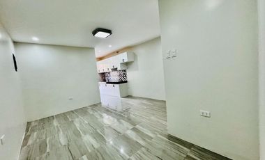 Brandnew Modern 2Storey Triplex House and Lot in Fortunata Village San Isidro Parañaque City