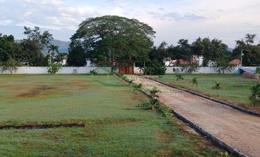 VENDEMOS HERMOSA FINCA EN EL CARMEN DE APICALA
