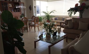 LINDO Y COMODO APARTAMENTO. EXCELENTE UBICACION