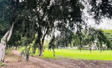 CASA CON GRAN JARDIN Y ACCESO DIRECTO AL CLUB DE GOLF