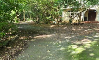 For sale: 2-storey detached house with 4+ rai of land, on Suwannason main road, Ban Lam, Wihan Daeng, Saraburi