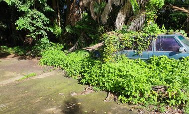 For sale: 2-storey detached house with 4+ rai of land, on Suwannason main road, Ban Lam, Wihan Daeng, Saraburi